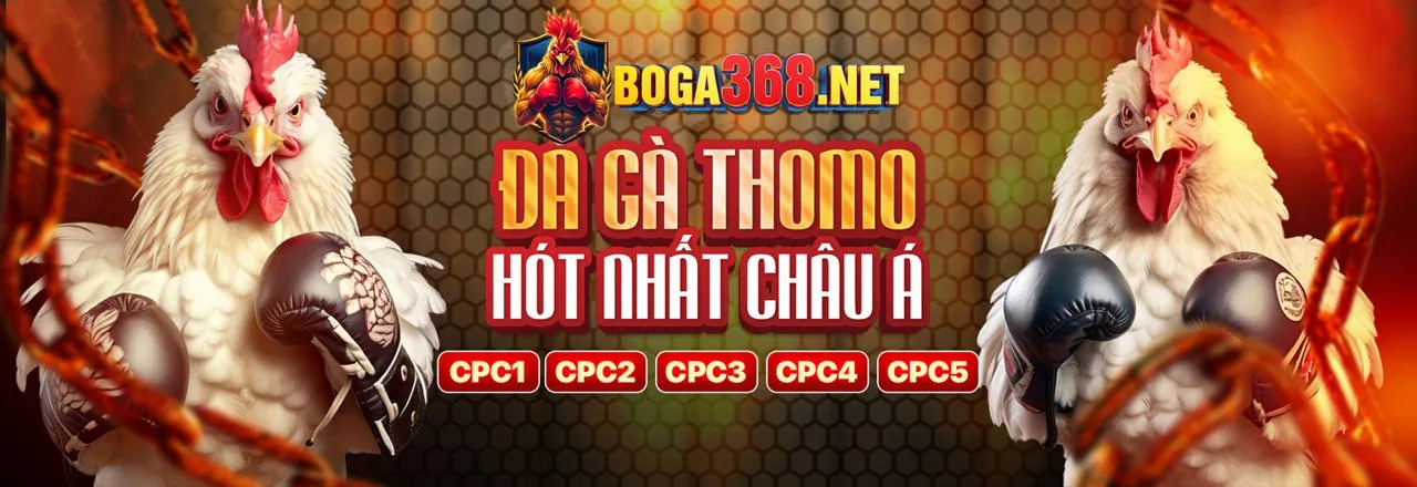 Đá Gà Trực Tuyến Hấp Dẫn tại NK88